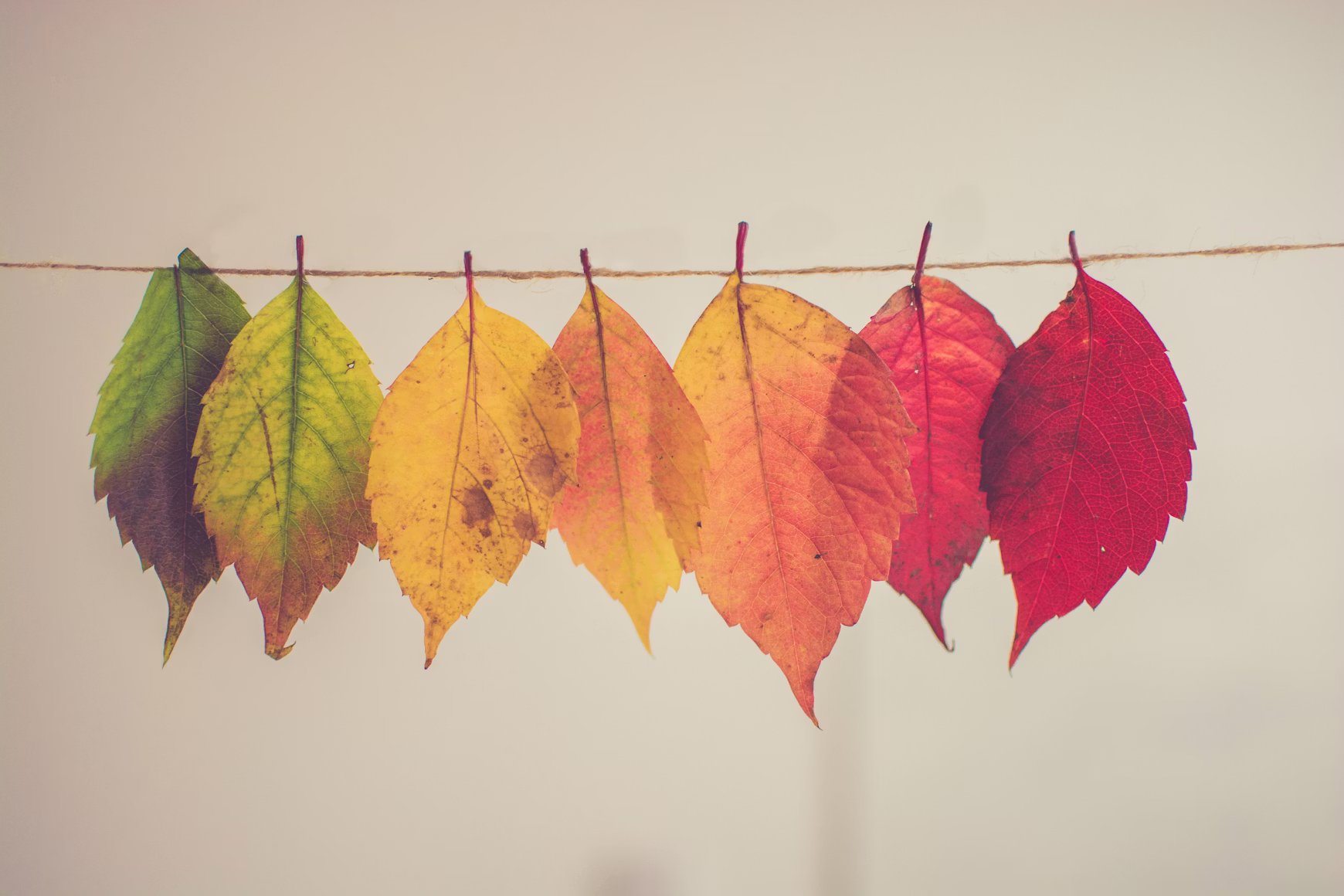 How to Support a Team Member Through a Career Change
