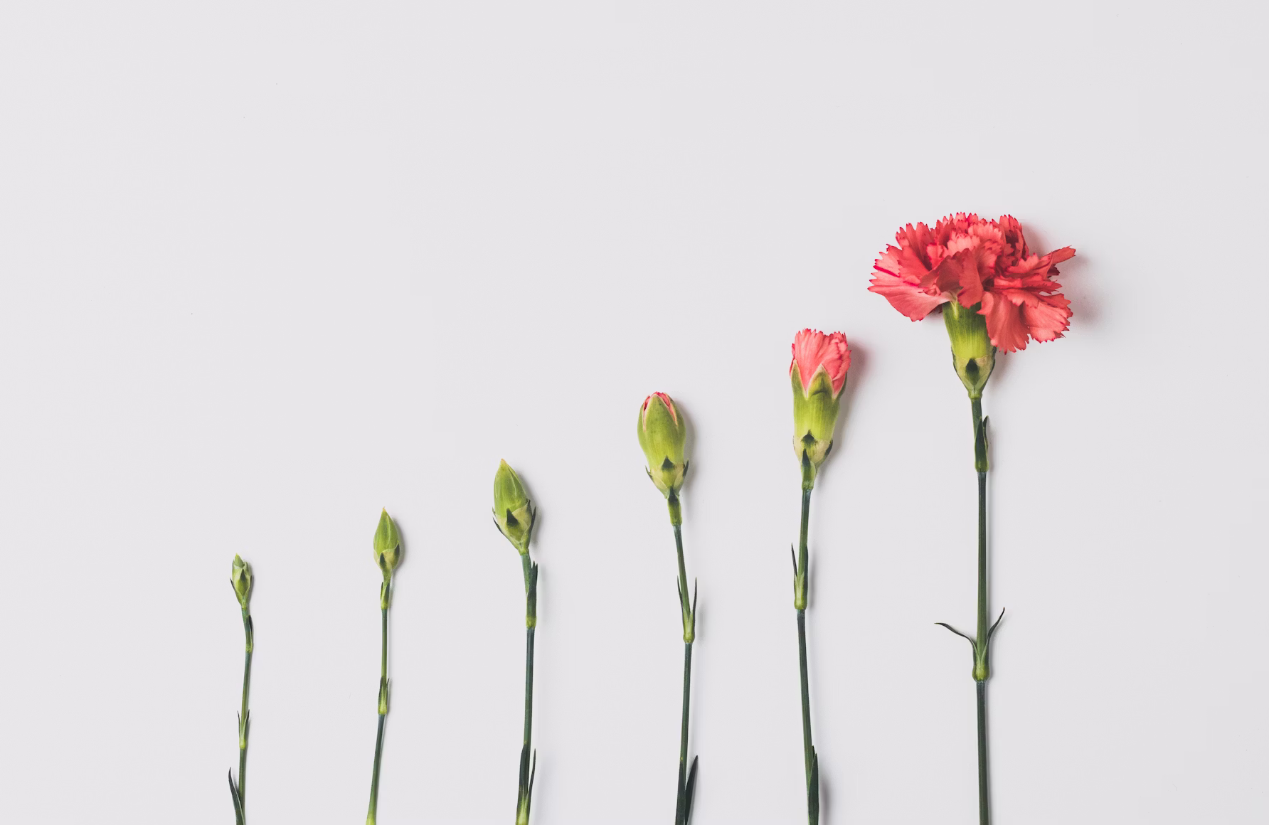 How to Coach an Underconfident High Performer