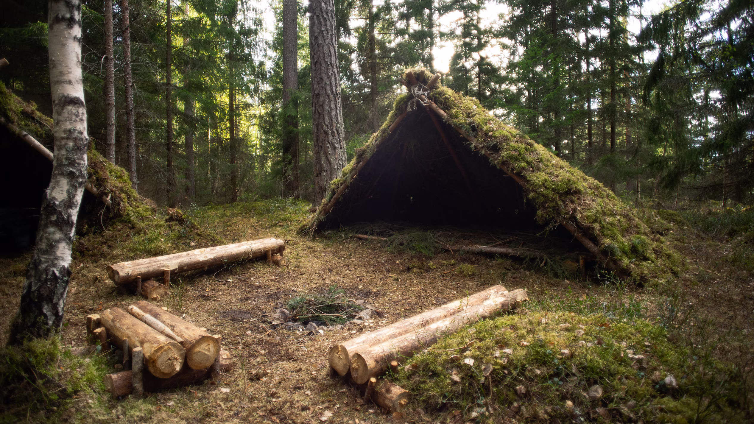 How to Prepare for and Survive a Restructure